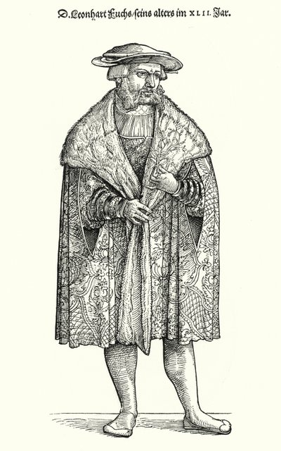 Dr Leonhart Fuchs, tysk lege, botaniker og professor ved Universitetet i Tübingen (gravering) av German School