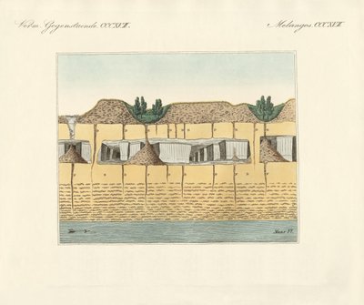 Jordrør (farget gravering) av German School