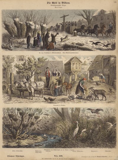 Europa (farget gravering) av German School