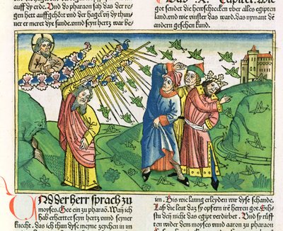 2. Mosebok 10:1-20 De syv plager i Egypt: gresshoppene, fra Nürnbergbibelen (Biblia Sacra Germanaica) (farget tresnitt) av German School