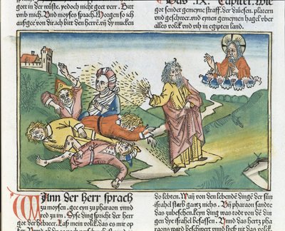 2. Mosebok 9 8-12 Egypts syv plager: Moses og bylleplagen, fra Nürnbergbibelen (Biblia Sacra Germanaica) (farget tresnitt) av German School