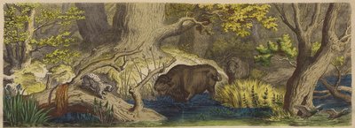 Skog i Litauen (farget gravering) av German School