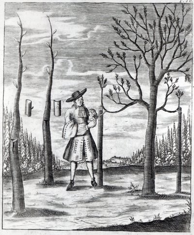 Gardening and Plant Maladies, en illustrasjon fra 