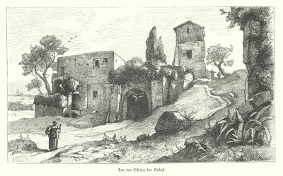 Gardens of Sallust, Roma (gravering) av German School