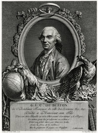 George Louis Leclerc, grev av Buffon av German School