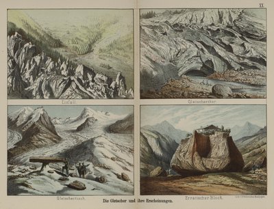 Isbreer og deres trekk (farge litho) av German School