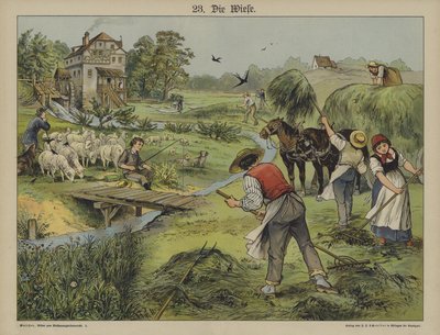 Gress (farge litho) av German School