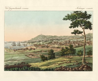 Hobart Town ved Van Diemens Land (farget gravering) av German School