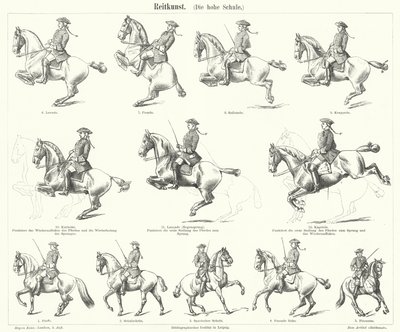 Horsemanship (gravering) av German School