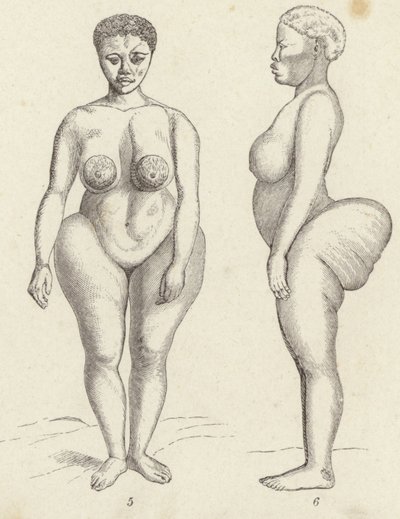 Hottentot Venus (gravering) av German School