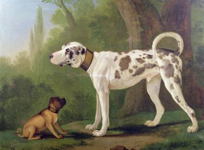 Hund og terrier av German School