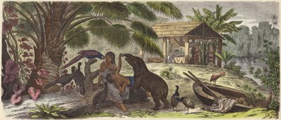 Indisk hus ved Orinoco-elven (farget gravering) av German School