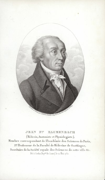 Johann Friedrich Blumenbach av German School