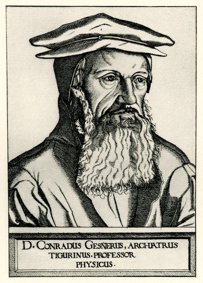 Konrad Gesner av German School