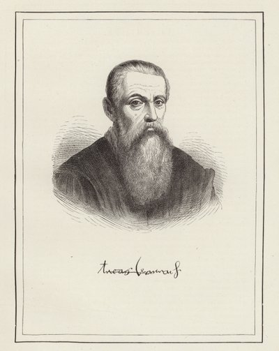 Lucas Cranach av German School