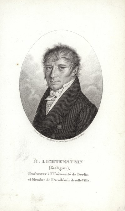 Martin Lichtenstein av German School