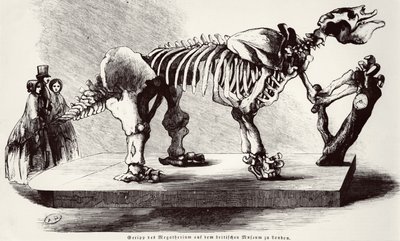 Megatherium Skeleton på British Museum av German School