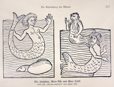 Havfrue og havmann fra Jacob Meydenbachs "Hortus Sanitatis" av German School