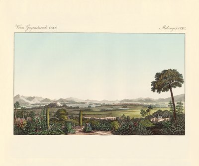 Mexico (farget gravering) av German School