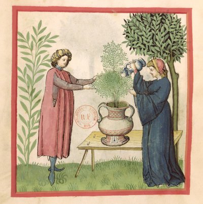 Ms Lat 9333 fol.30 Merian, fra Tacuinum Sanitatis av German School