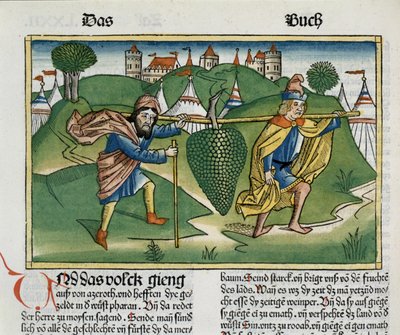 Nummer 13 23 Eschols druer, fra Nürnbergbibelen (Biblia Sacra Germanaica) (farget tresnitt) av German School
