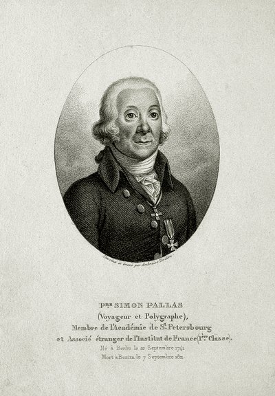 Peter Simon Pallas. (1741 – 1811) (Linjegravering) av German School