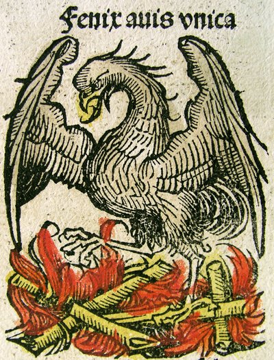 Phoenix publisert i Nuremberg Chronicle, 1493 av German School