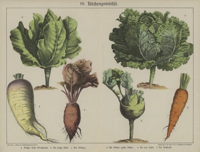 Planter av German School