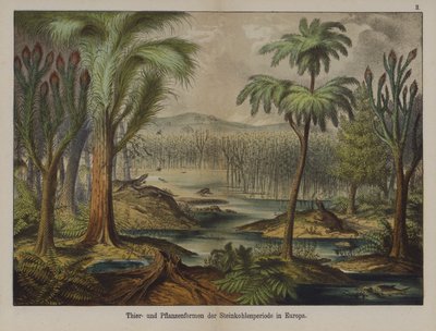 Planter og dyr fra karbonperioden i Europa (farge litho) av German School