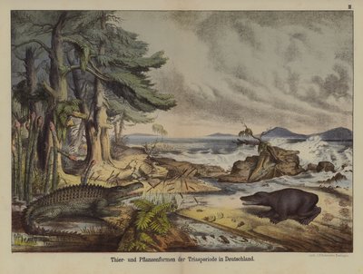 Planter og dyr fra triasperioden i Tyskland (farge litho) av German School