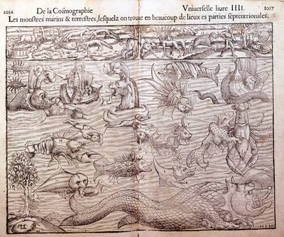 Plate som representerer alle typer marine og terrestriske monstre som finnes i nordlige områder: Xilografi hentet fra Sebastien Munsters Universal Cosmography. Bale av German School