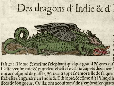 Representasjon av en drage fra India. Xilografi hentet fra Sebastien Munsters Universal Cosmography. Bale av German School