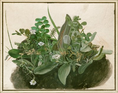 Liten klump med torv (akvarell, tempera og pensel på pergament montert på papp) av German School