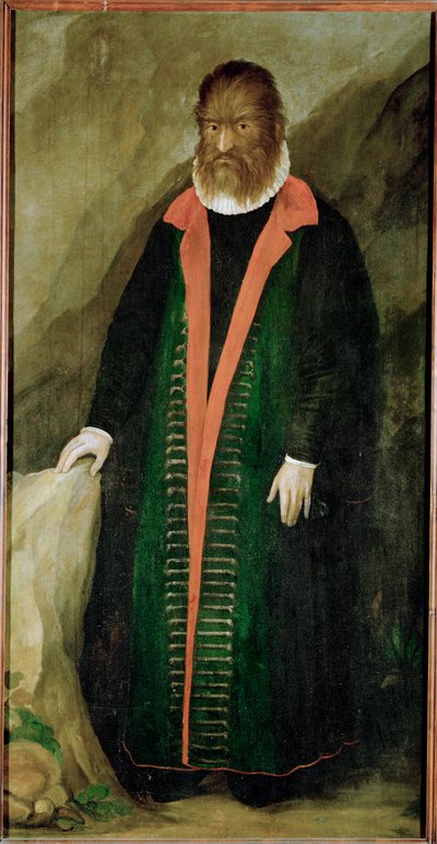 Den hårete mannen, Petrus Gonzalvus, født 1556 på Teneriffa … av German School