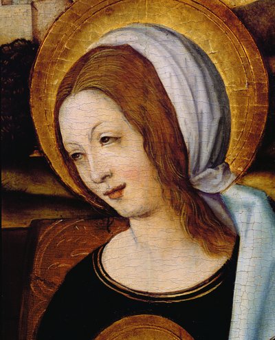Jomfru Maria av German School