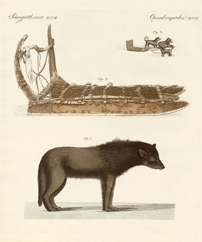 The Dog of the Baffin-Bay (farget gravering) av German School