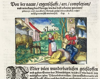Den helbredende og terapeutiske bruken av honning i medisin, illustrasjon fra en tysk avhandling om medisiner publisert i Strasbourg i 1573 (farget tresnitt) av German School