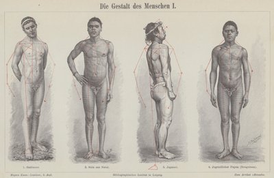 Menneskefiguren (gravering) av German School