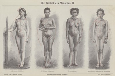 Menneskefiguren (gravering) av German School