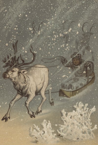Reinsdyret (chromolitho) av German School