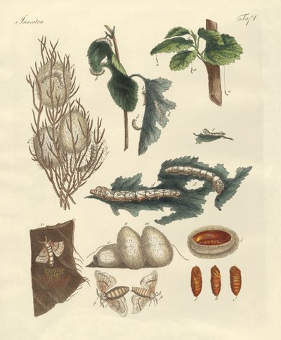 Silkeormen av German School