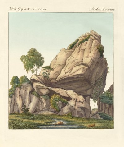 Den antatte fossiliserte Reuter av Fontainebleau (farget gravering) av German School