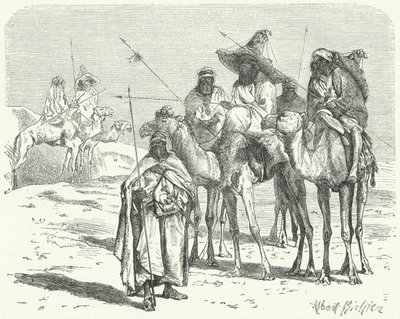 Tuareger (gravering) av German School