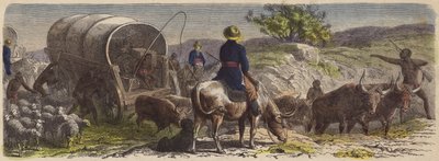 Vogntog i Sør-Afrika (farget gravering) av German School