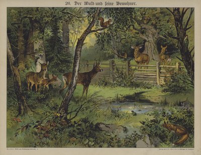 Wildtiere von German School