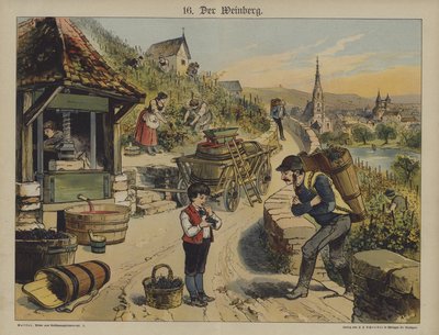 Vin (farge litho) av German School