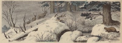 Vinterlandskap i Canada (farget gravering) av German School
