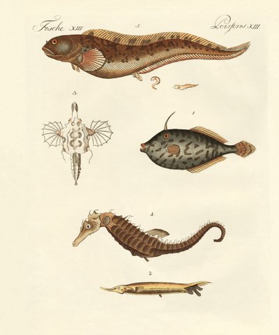 Fantastisk fisk av German School