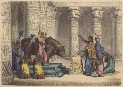 Tilbedelse av Apis-oksen i det gamle Egypt (farget gravering) av German School