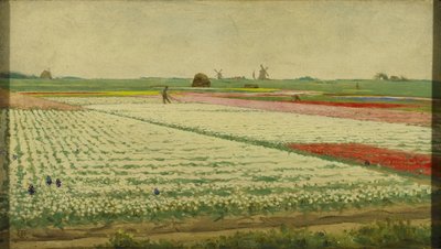 Tulipanmarker av Gerrit Willem Dijsselhof